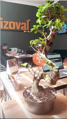 Hakkımızda İzoVal Yanmazcı